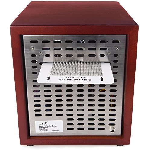 Ozone Generator Air Purifier – Ivation Products