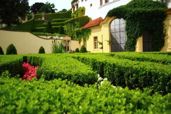 Gardening & Lawn Care