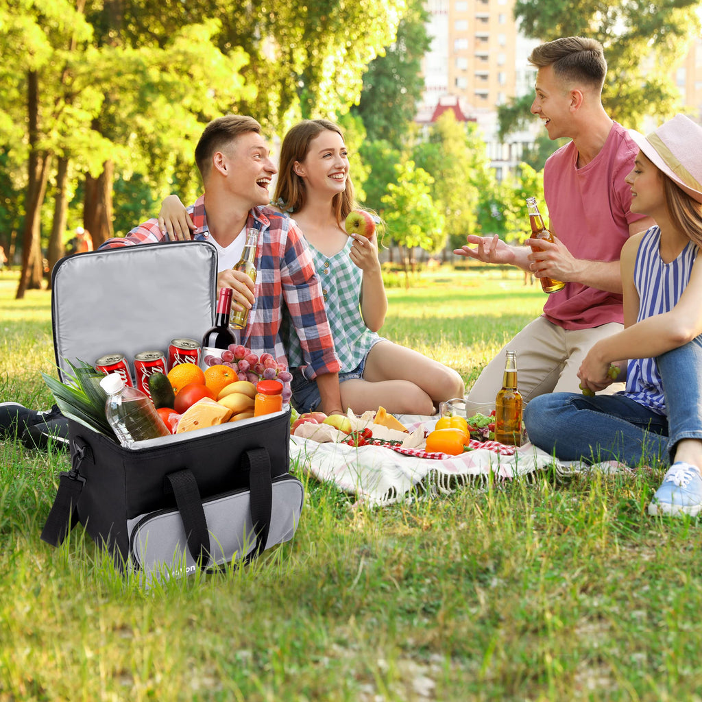 Ivation Electric Cooler Bag, 15 L Portable Thermoelectric 12 Volt Cool