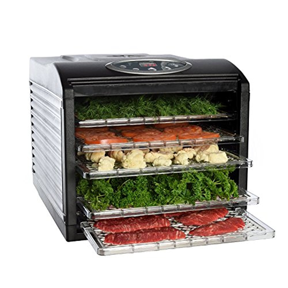 Ivation 6 Stainless Steel Tray Food Dehydrator For Snacks, Fruit and Beef  Jerky IVFD60SRSSWH - The Home Depot