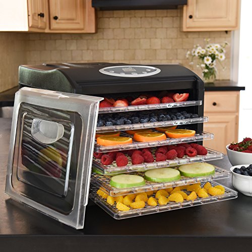 Ivation Powerful 6-Tray Food Dehydrator, Stainless Steel Shelves, Programmable, ETL Safety Listed, Black